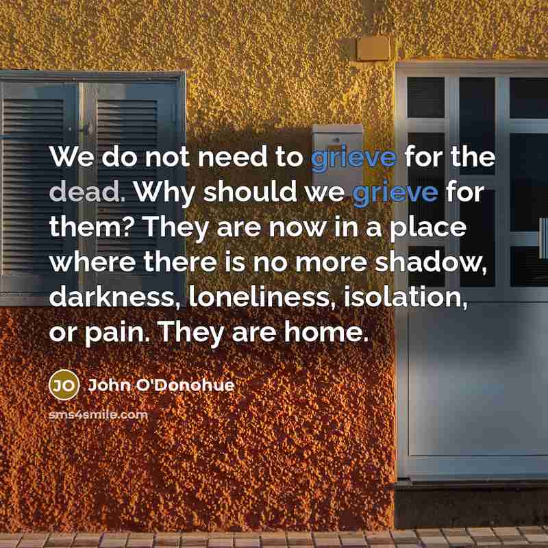 “We do not need to grieve for the dead. Why…” quote by John O'Donohue