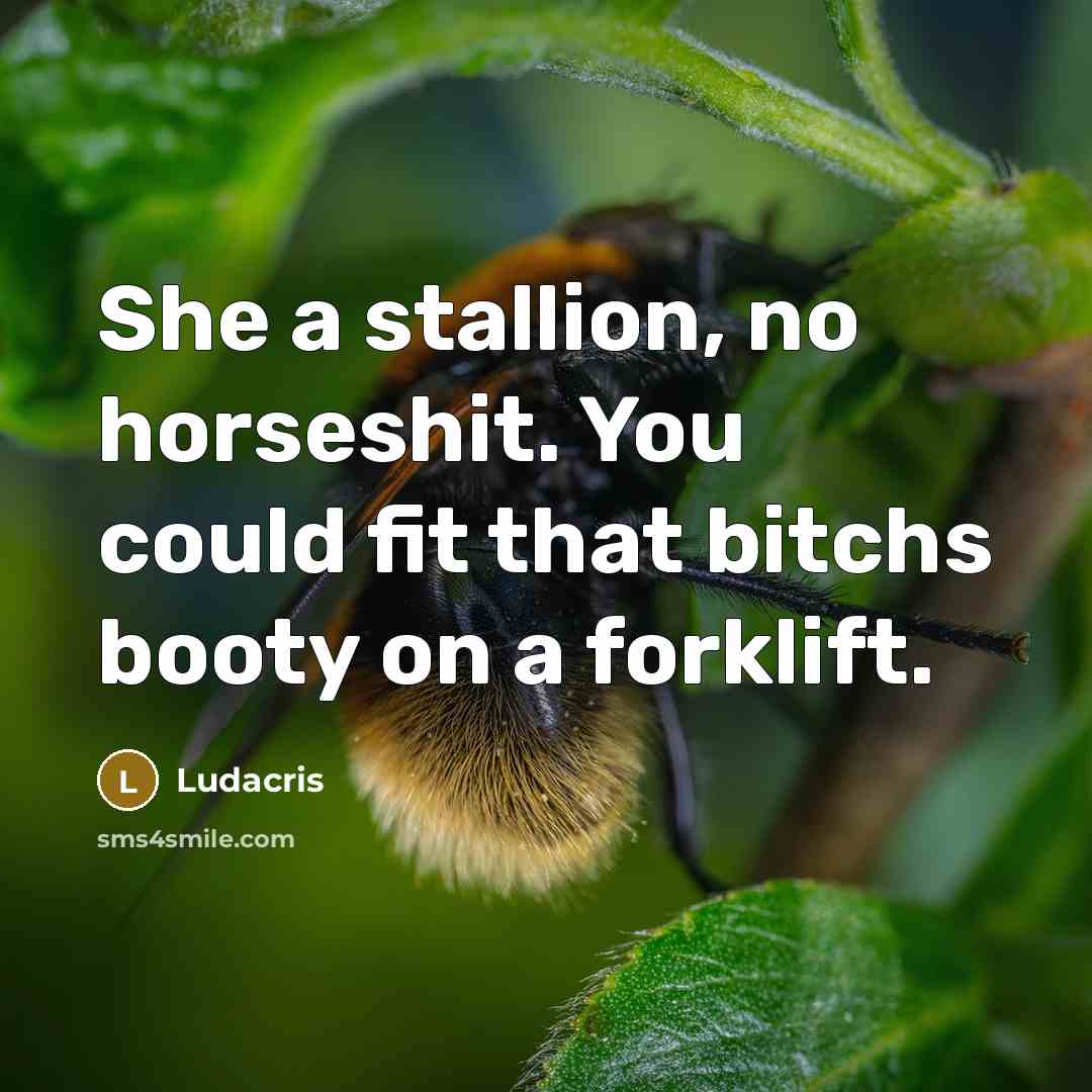 “She a stallion, no horseshit. You could fit that bitchs…” quote by Ludacris