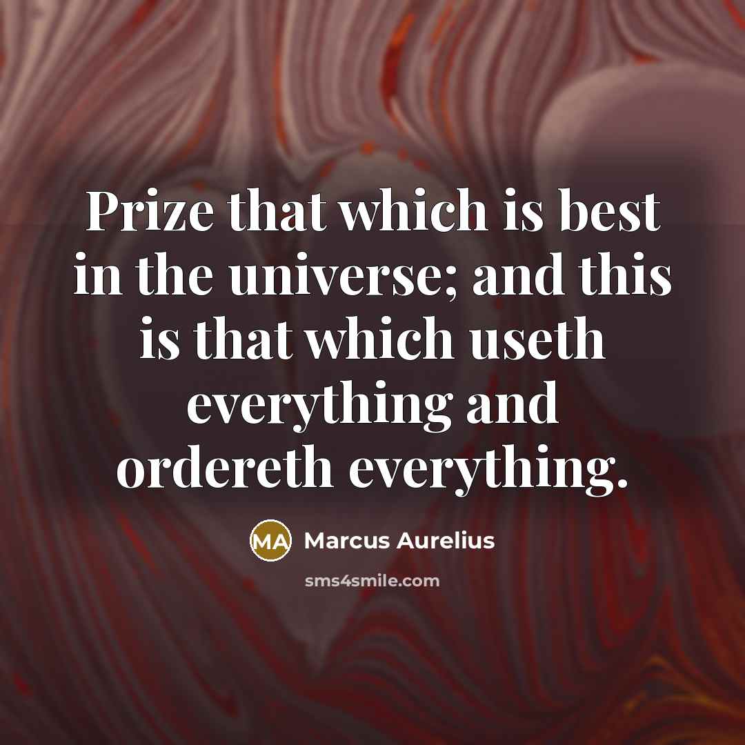 “Prize that which is best in the universe; and this is that which useth everything and ordereth everything.” quote by Marcus Aurelius
