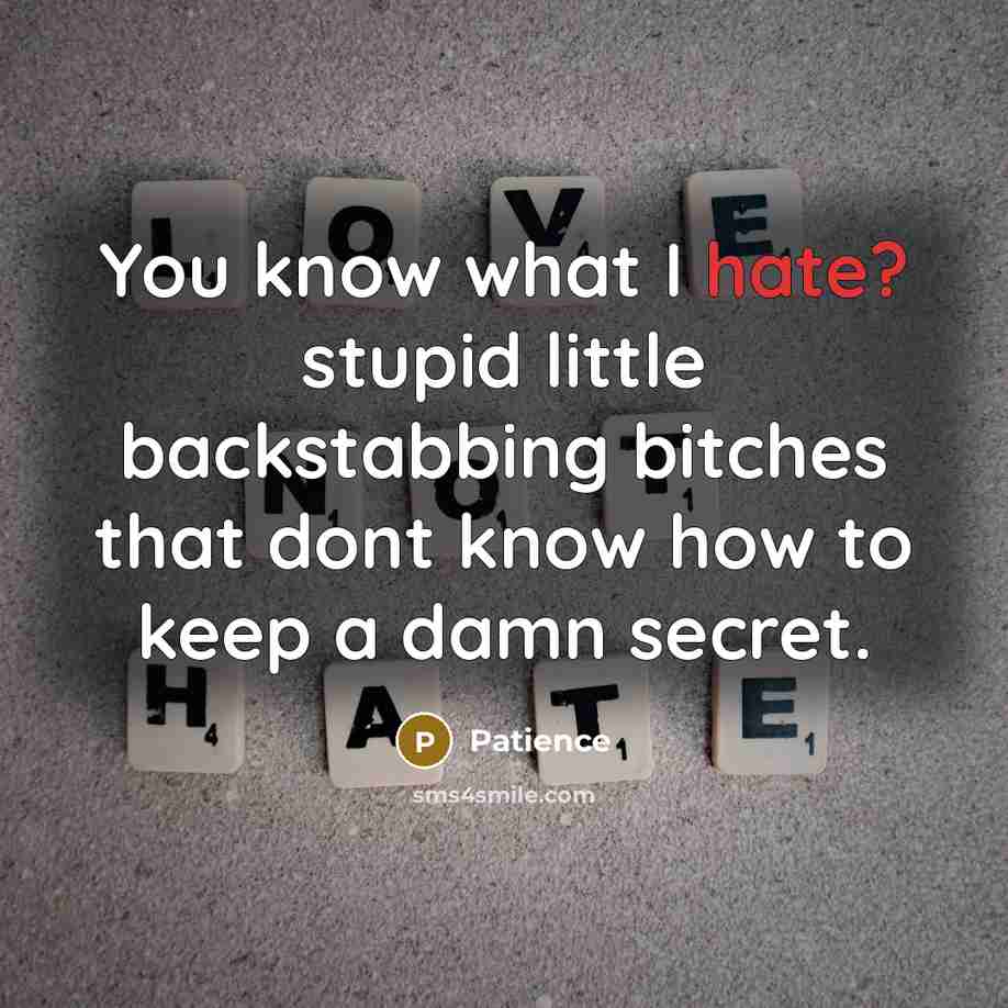 “You know what I hate? stupid little backstabbing bitches that…” quote by Patience