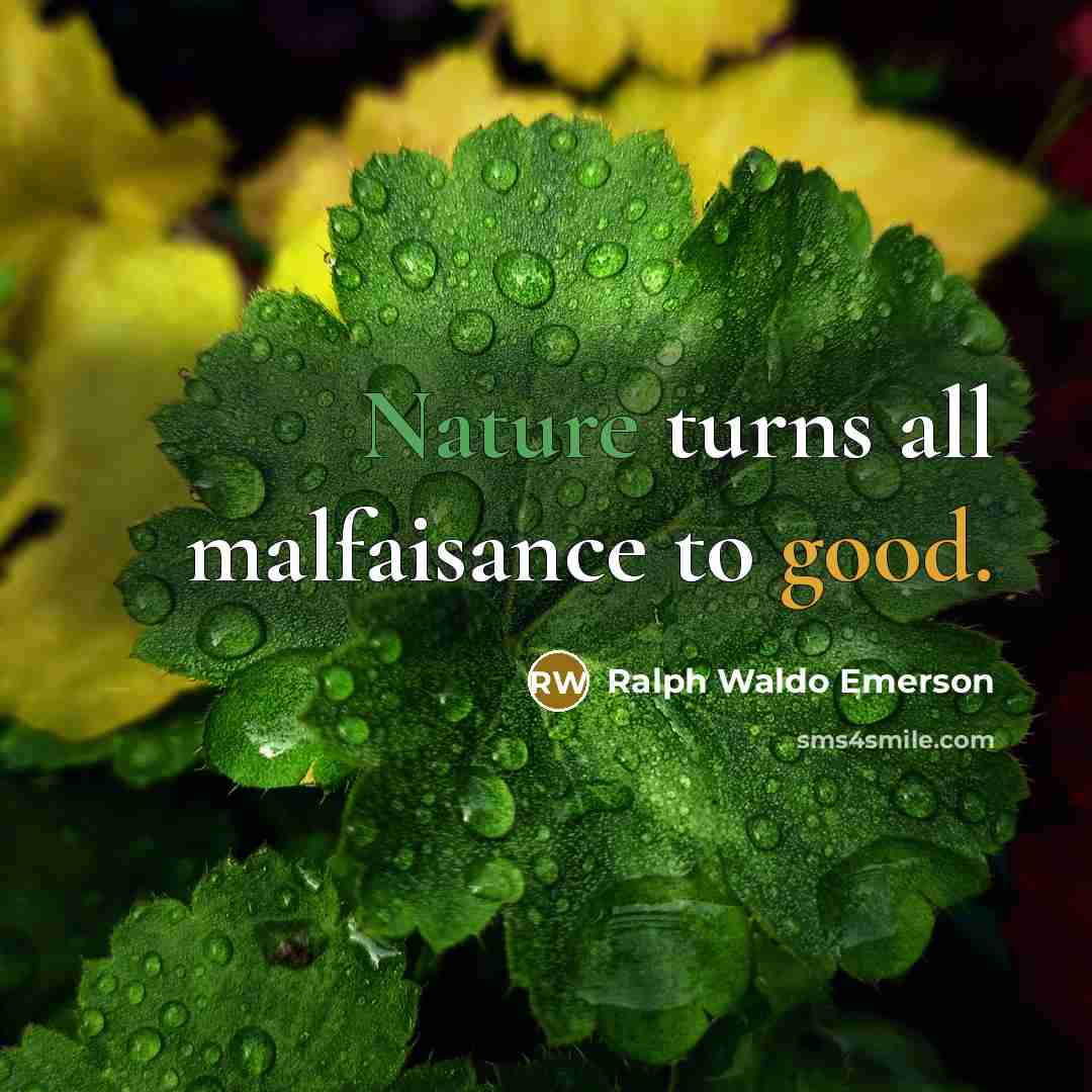 “Nature turns all malfaisance to good.” quote by Ralph Waldo Emerson