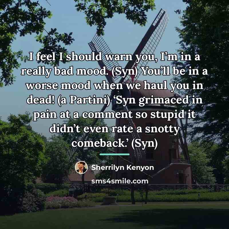 “I feel I should warn you, I’m in a really…” quote by Sherrilyn Kenyon