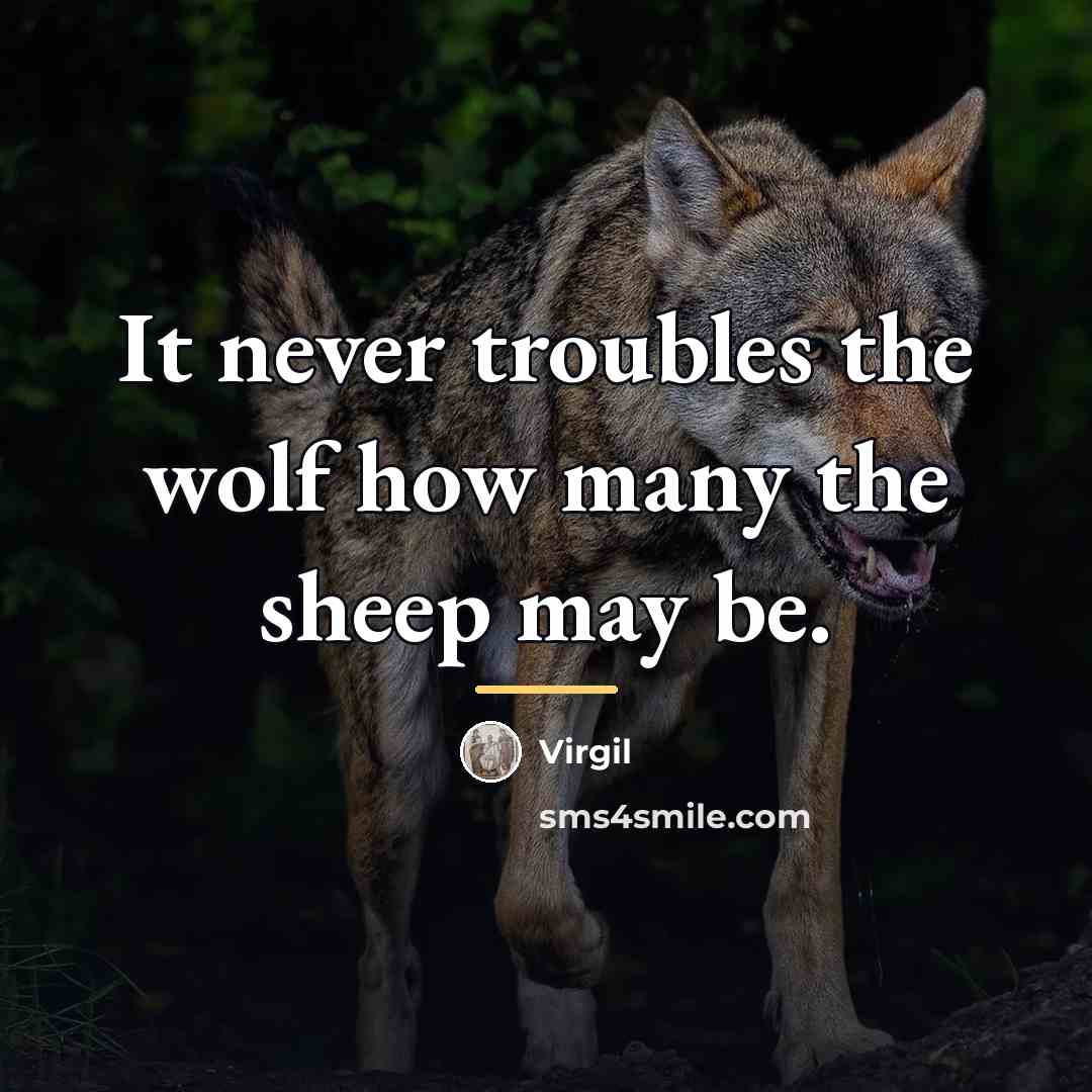“It never troubles the wolf how many the sheep may…” quote by Virgil