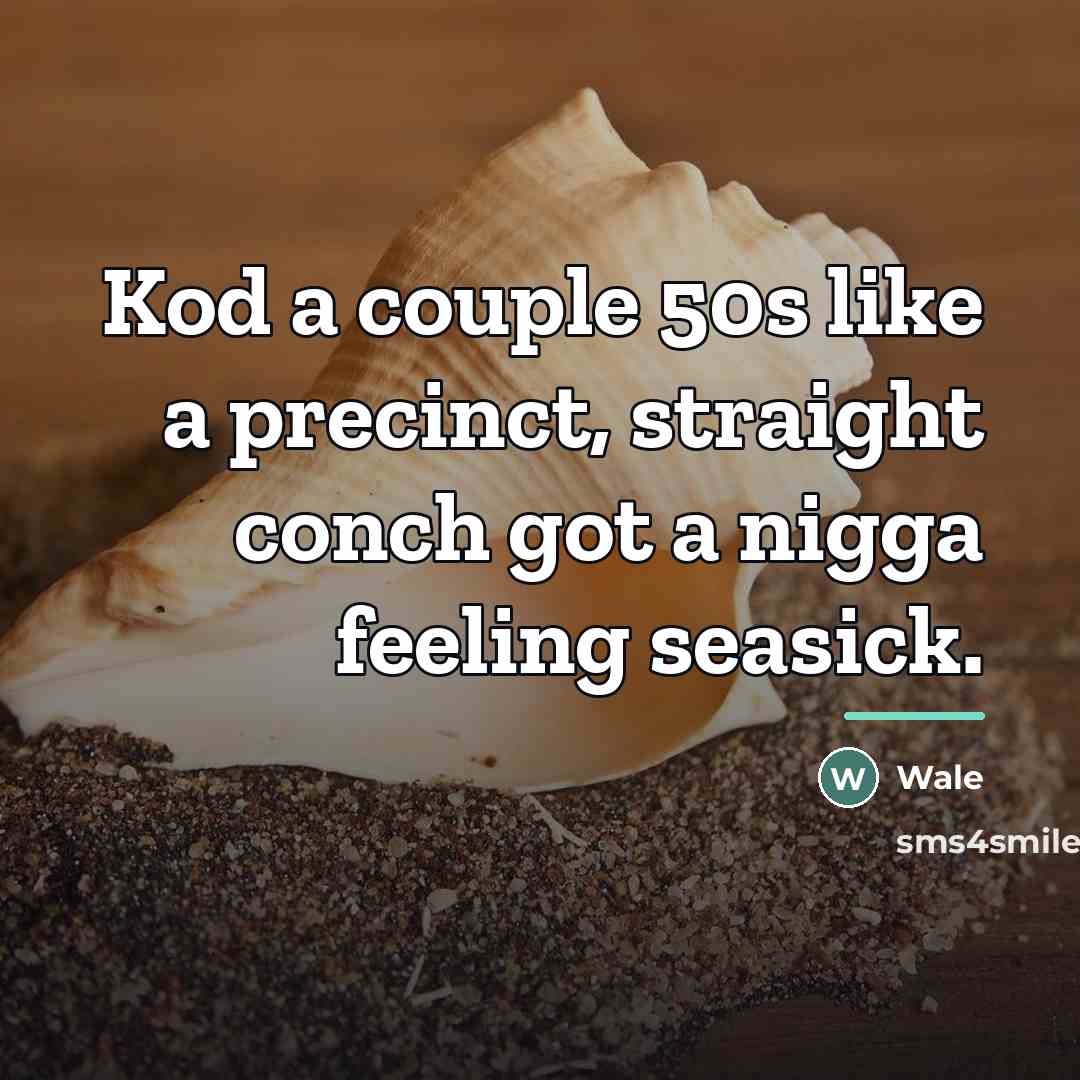 “Kod a couple 50s like a precinct, straight conch got…” quote by Wale