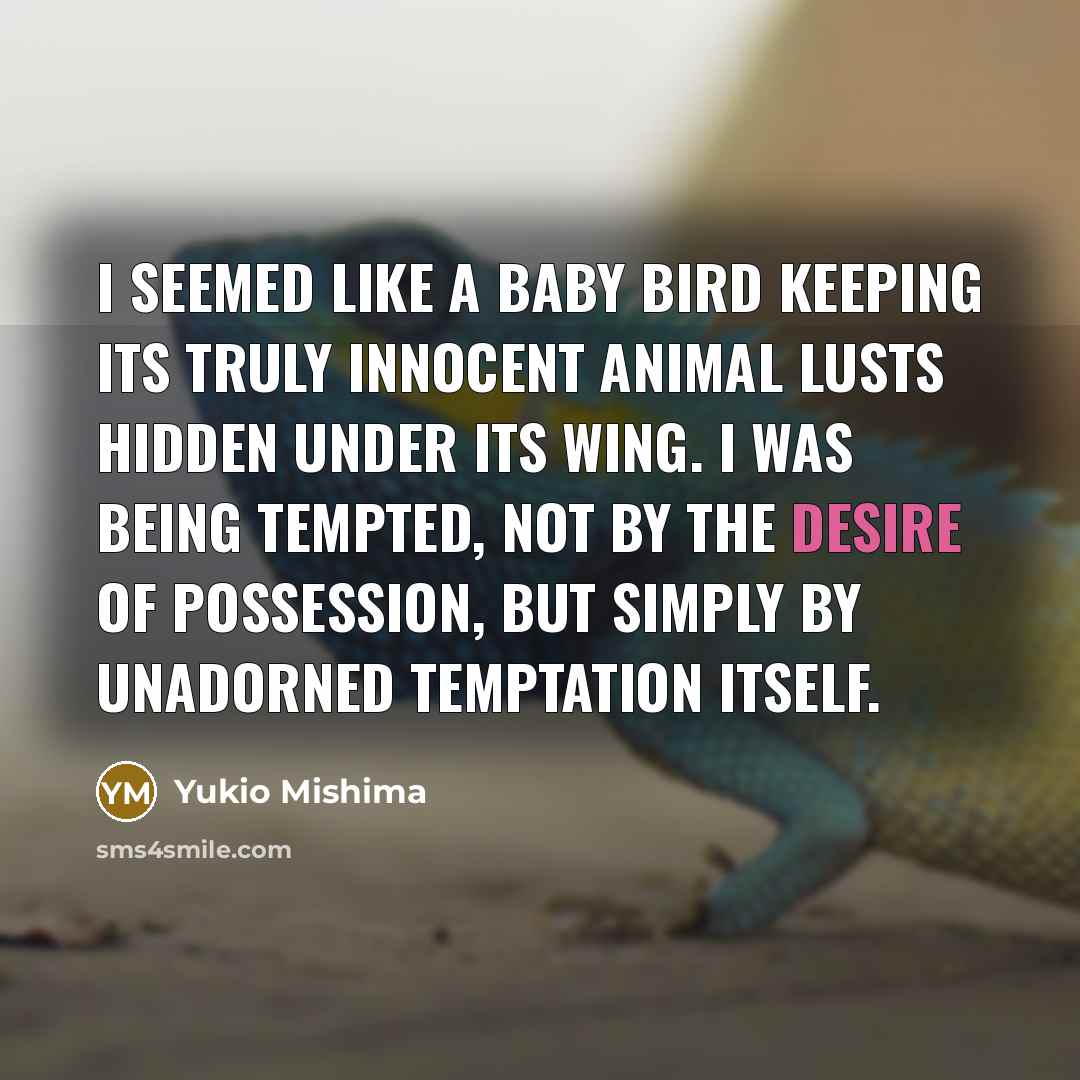 “I seemed like a baby bird keeping its truly innocent…” quote by Yukio Mishima