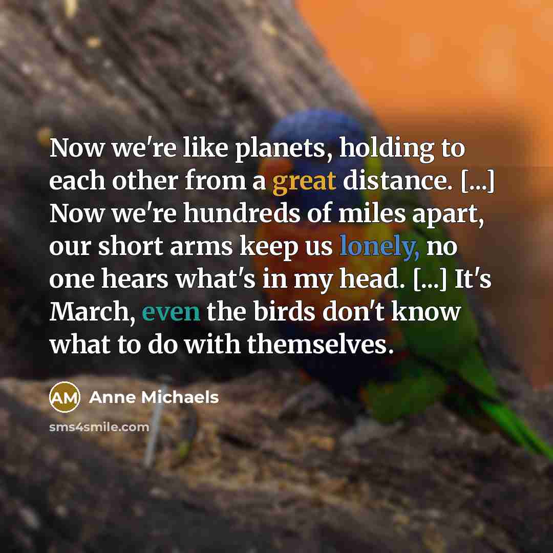 “Now we're like planets, holding to each other from a…” quote by Anne Michaels