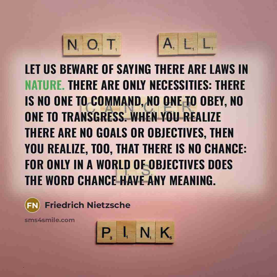 “Let us beware of saying there are laws in nature.…” quote by Friedrich Nietzsche