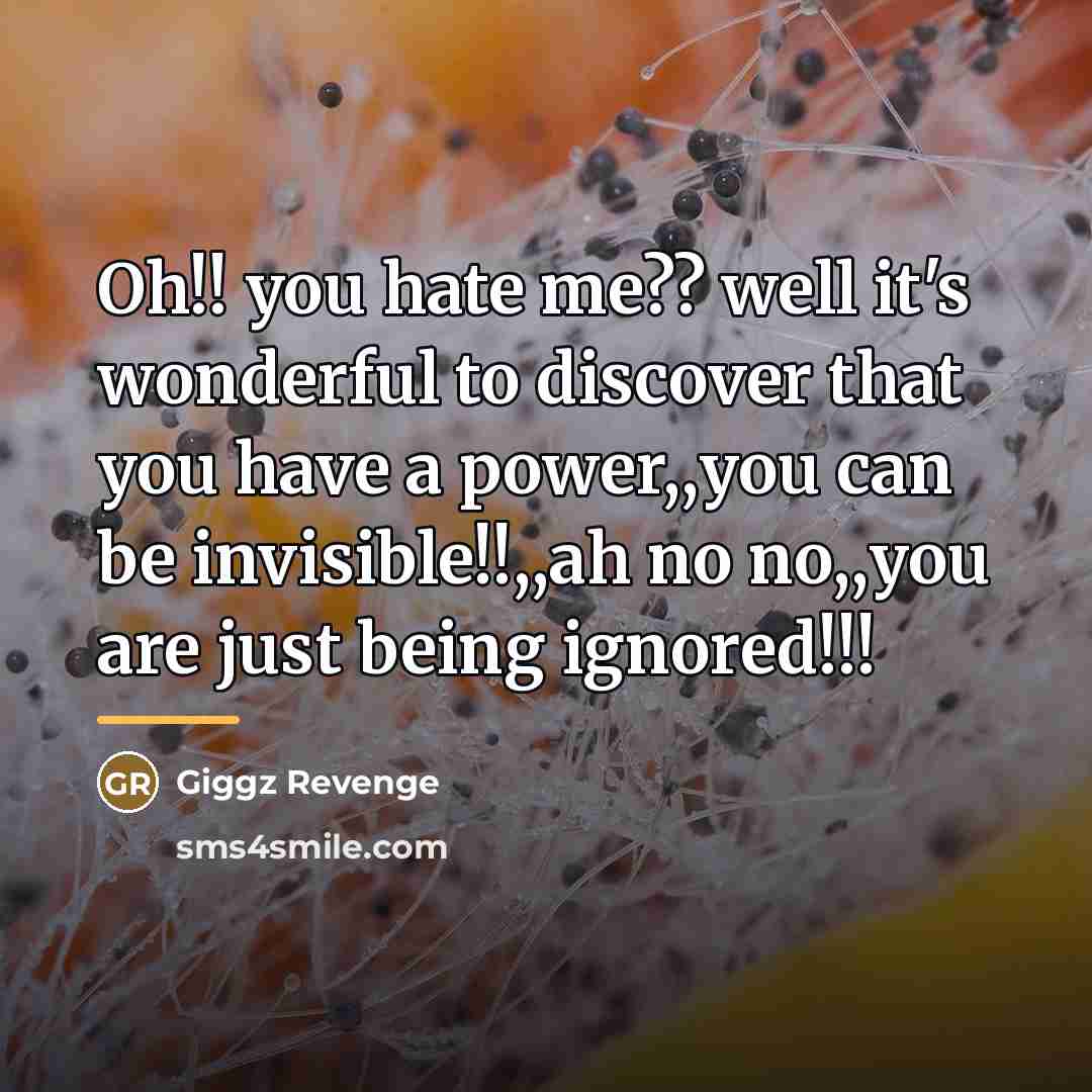 “Oh!! you hate me?? well it's wonderful to discover that…” quote by Giggz Revenge