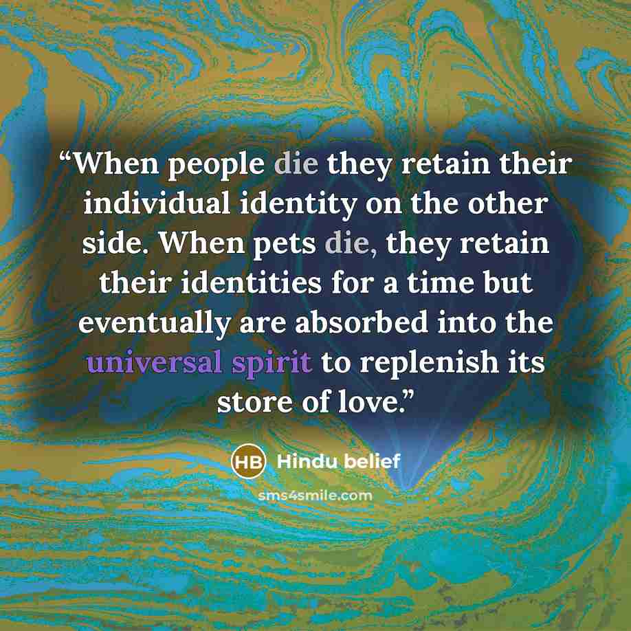 “When people die they retain their individual identity on the other side. When pets die, they retain their identities for a time but eventually are absorbed into the universal spirit to replenish its store of love.” quote by Hindu belief
