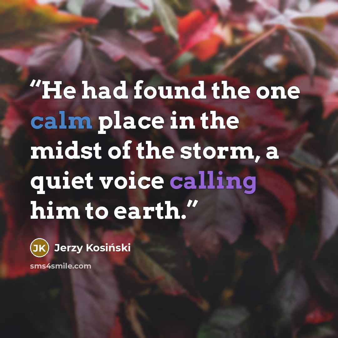 “He had found the one calm place in the midst of the storm, a quiet voice calling him to earth.” quote by Jerzy Kosiński