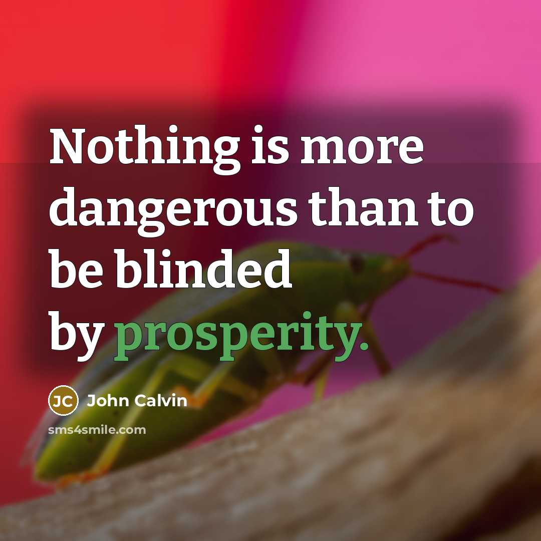 “Nothing is more dangerous than to be blinded by prosperity.…” quote by John Calvin