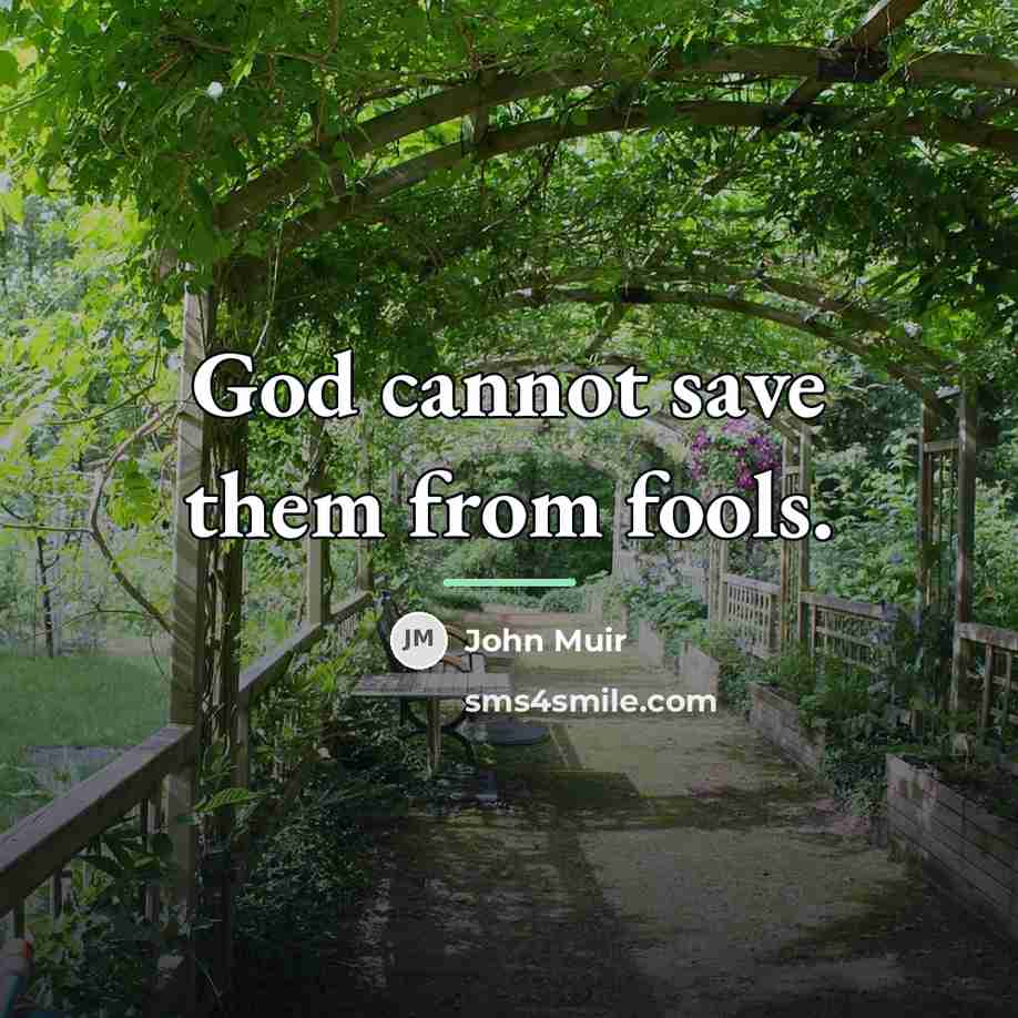 “God cannot save them from fools.…” quote by John Muir