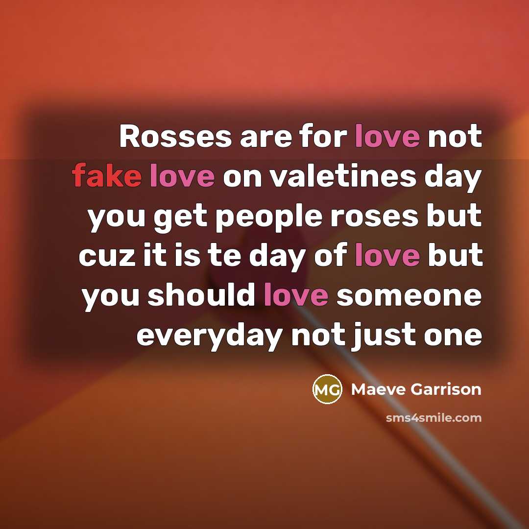 “Rosses are for love not fake love on valetines day…” quote by Maeve Garrison