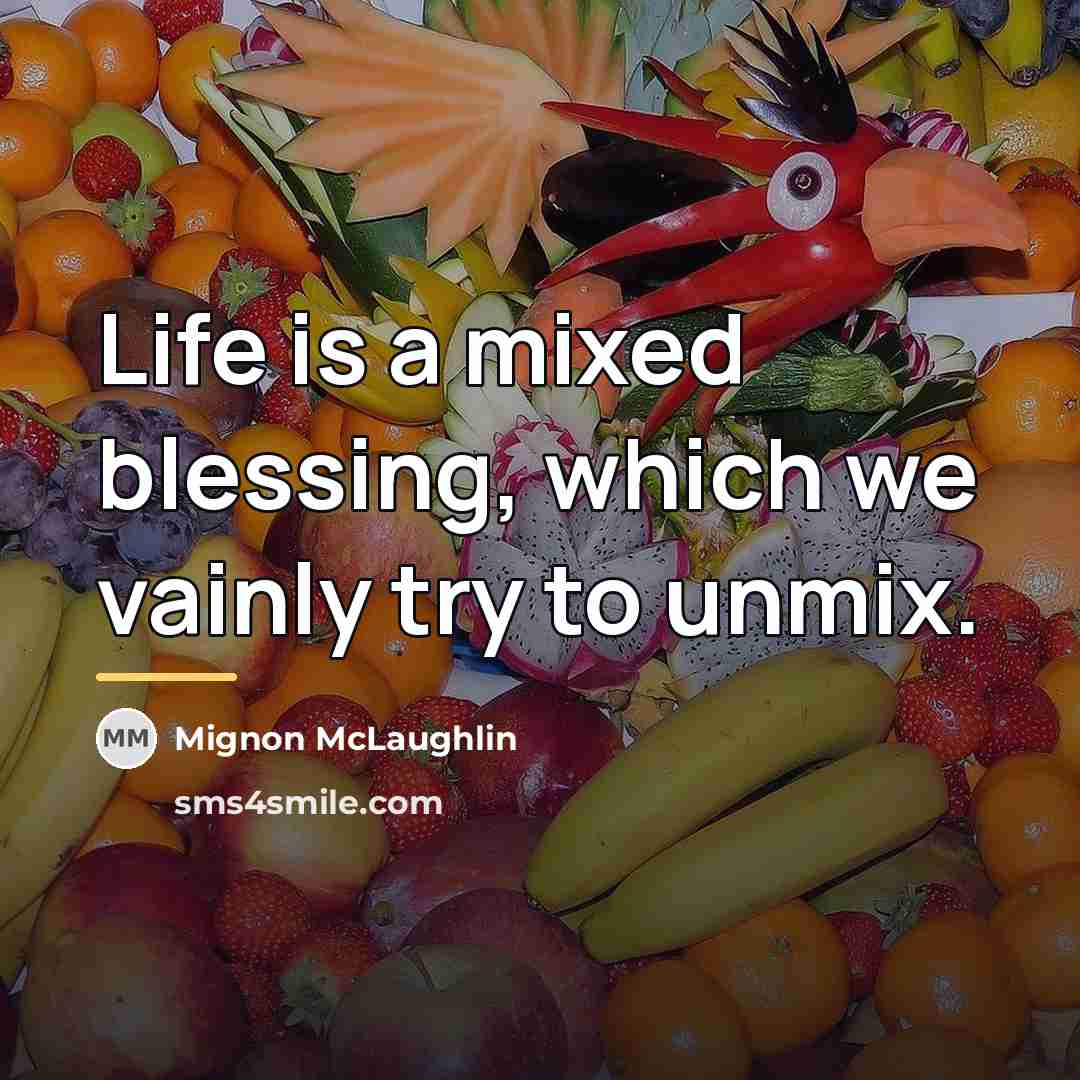 “Life is a mixed blessing, which we vainly try to…” quote by Mignon McLaughlin