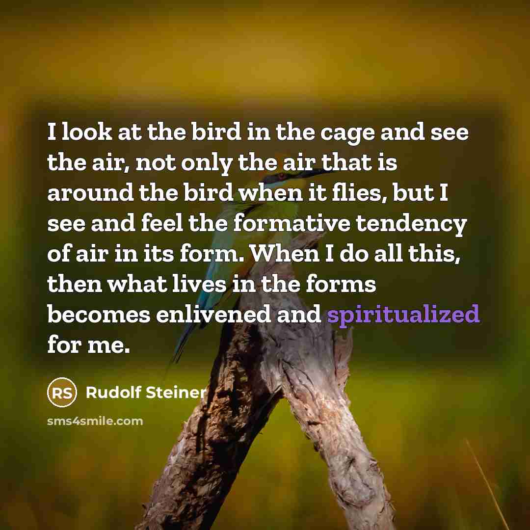 “I look at the bird in the cage and see…” quote by Rudolf Steiner