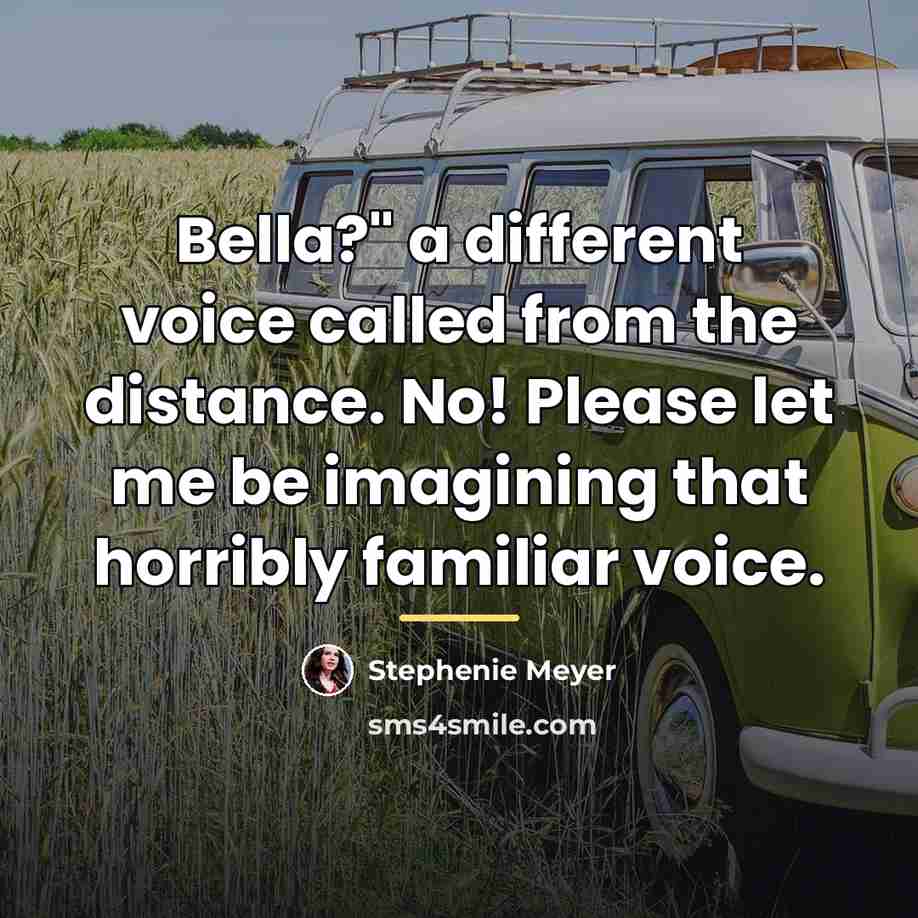 “Bella?" a different voice called from the distance. No! Please…” quote by Stephenie Meyer