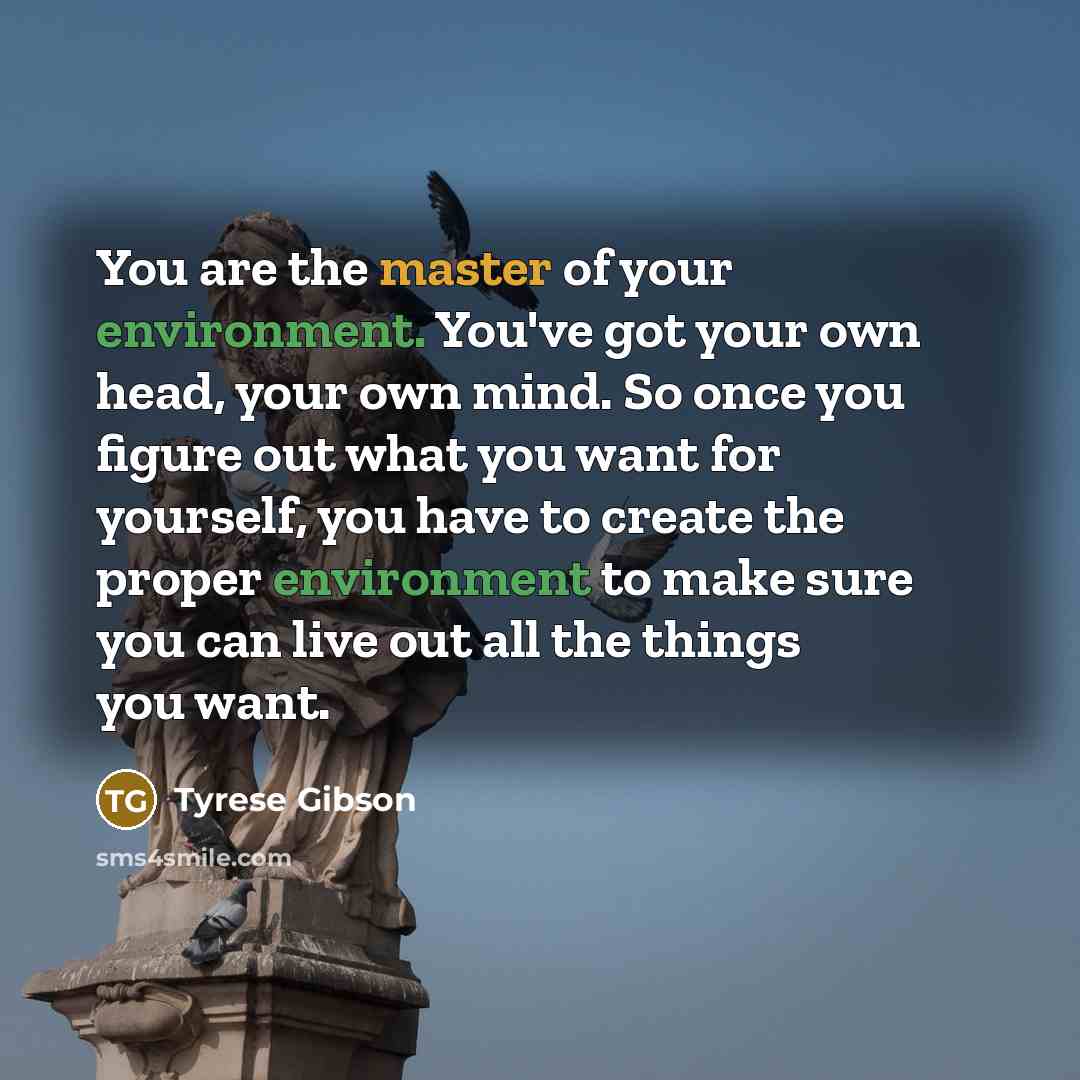 “You are the master of your environment. You've got your…” quote by Tyrese Gibson