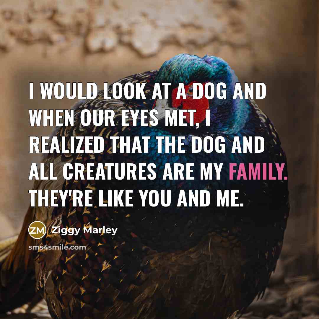 “I would look at a dog and when our eyes…” quote by Ziggy Marley