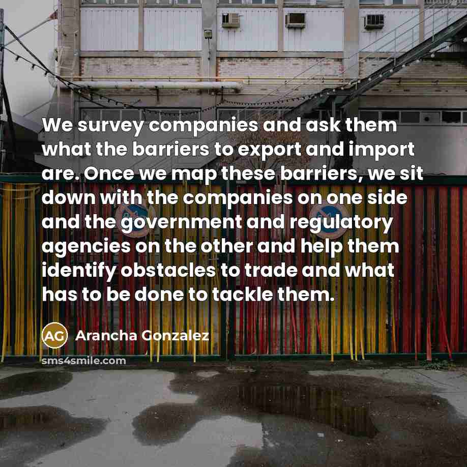 “We survey companies and ask them what the barriers to export and import are. Once we map these barriers, we sit down with the companies on one side and the government and regulatory agencies on the other and help them identify obstacles to trade and what has to be done to tackle them.” quote by Arancha Gonzalez