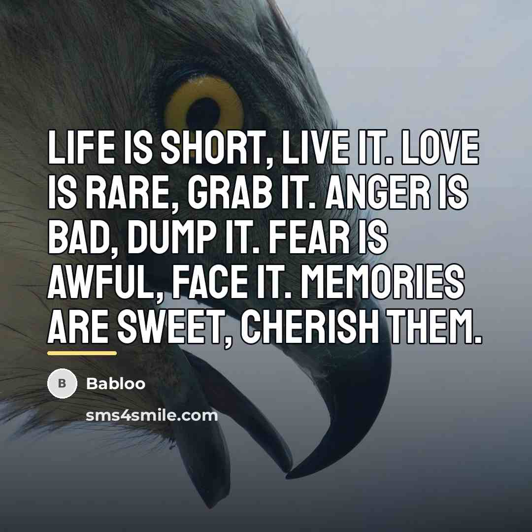 “Life is short, live it. Love is rare, grab it.…” quote by Babloo