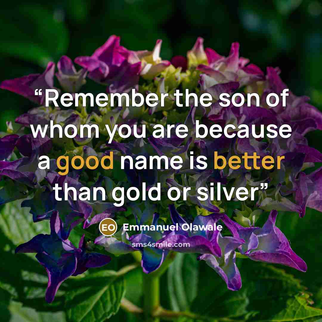 “Remember the son of whom you are because a good name is better than gold or silver” quote by Emmanuel Olawale