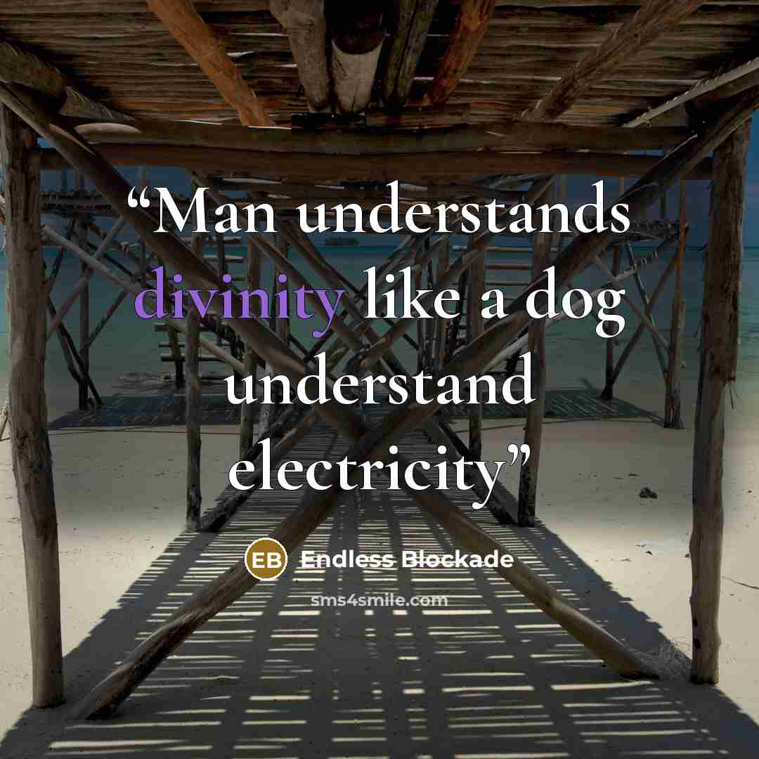 “Man understands divinity like a dog understand electricity” quote by Endless Blockade