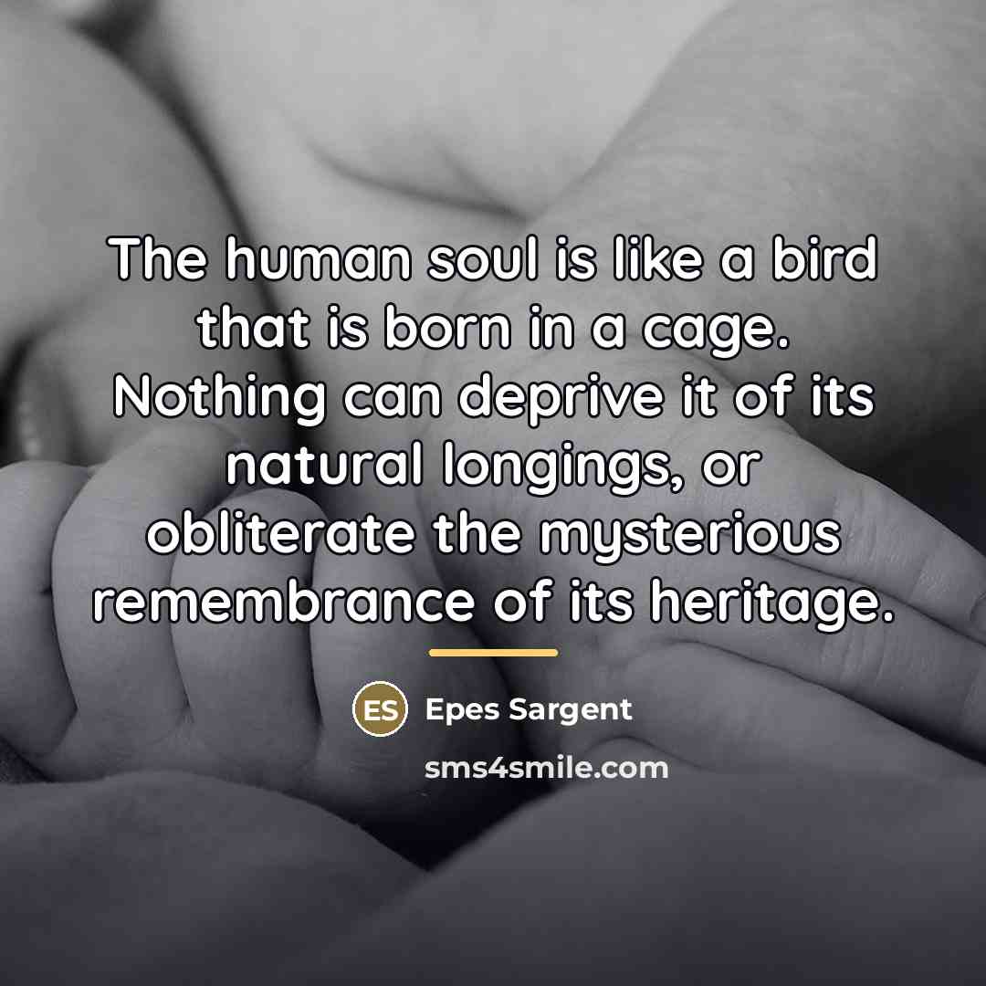 “The human soul is like a bird that is born…” quote by Epes Sargent