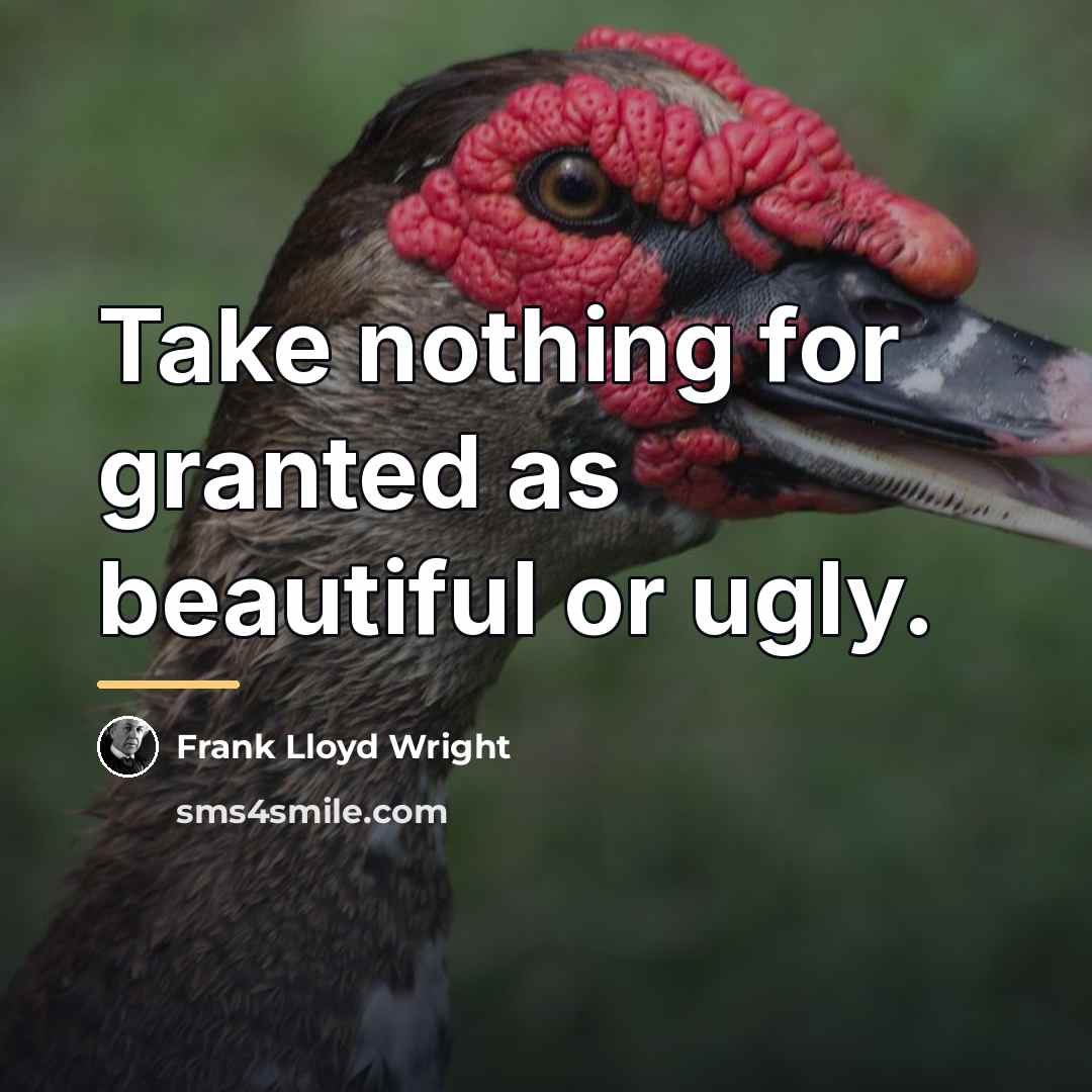 “Take nothing for granted as beautiful or ugly.…” quote by Frank Lloyd Wright