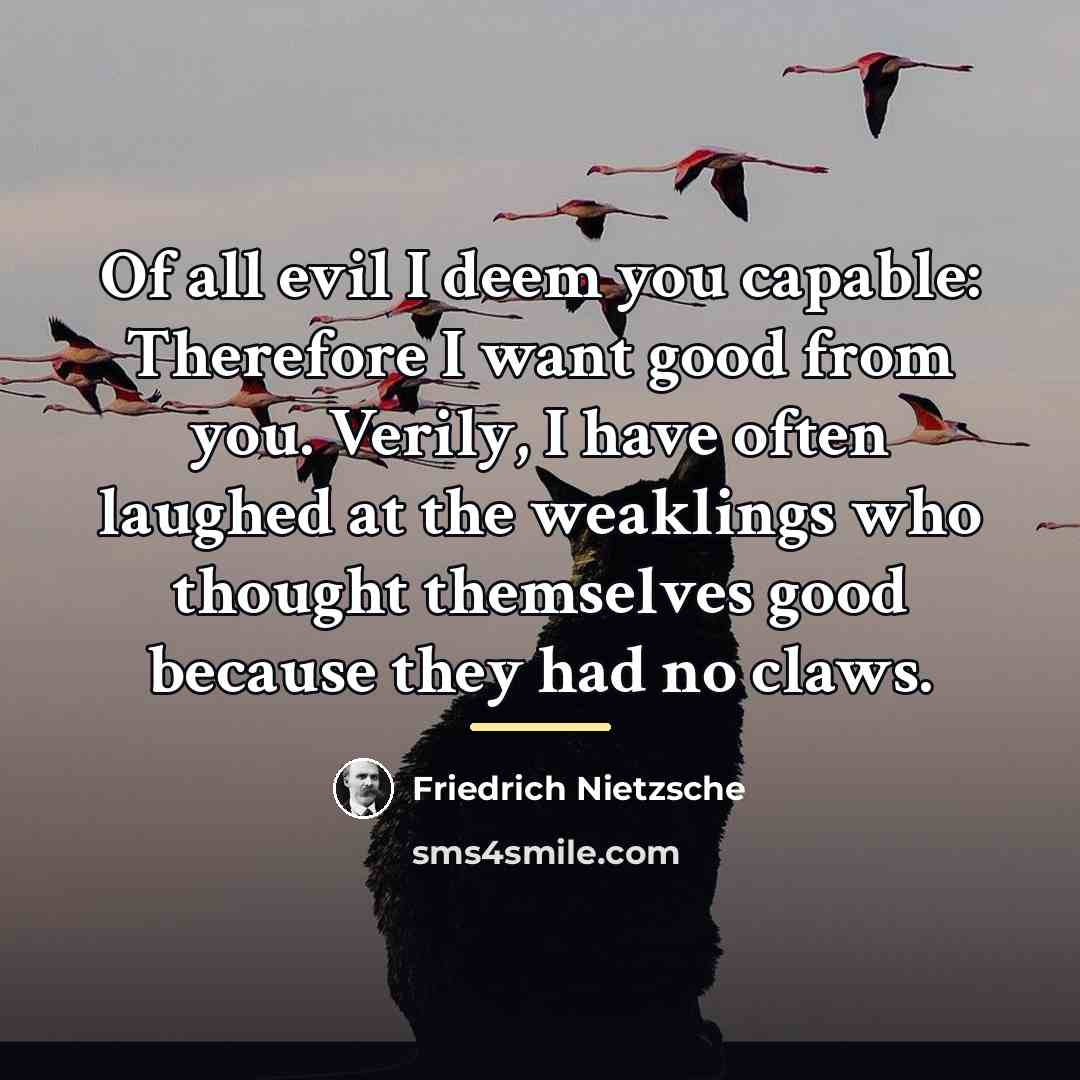 “Of all evil I deem you capable: Therefore I want…” quote by Friedrich Nietzsche
