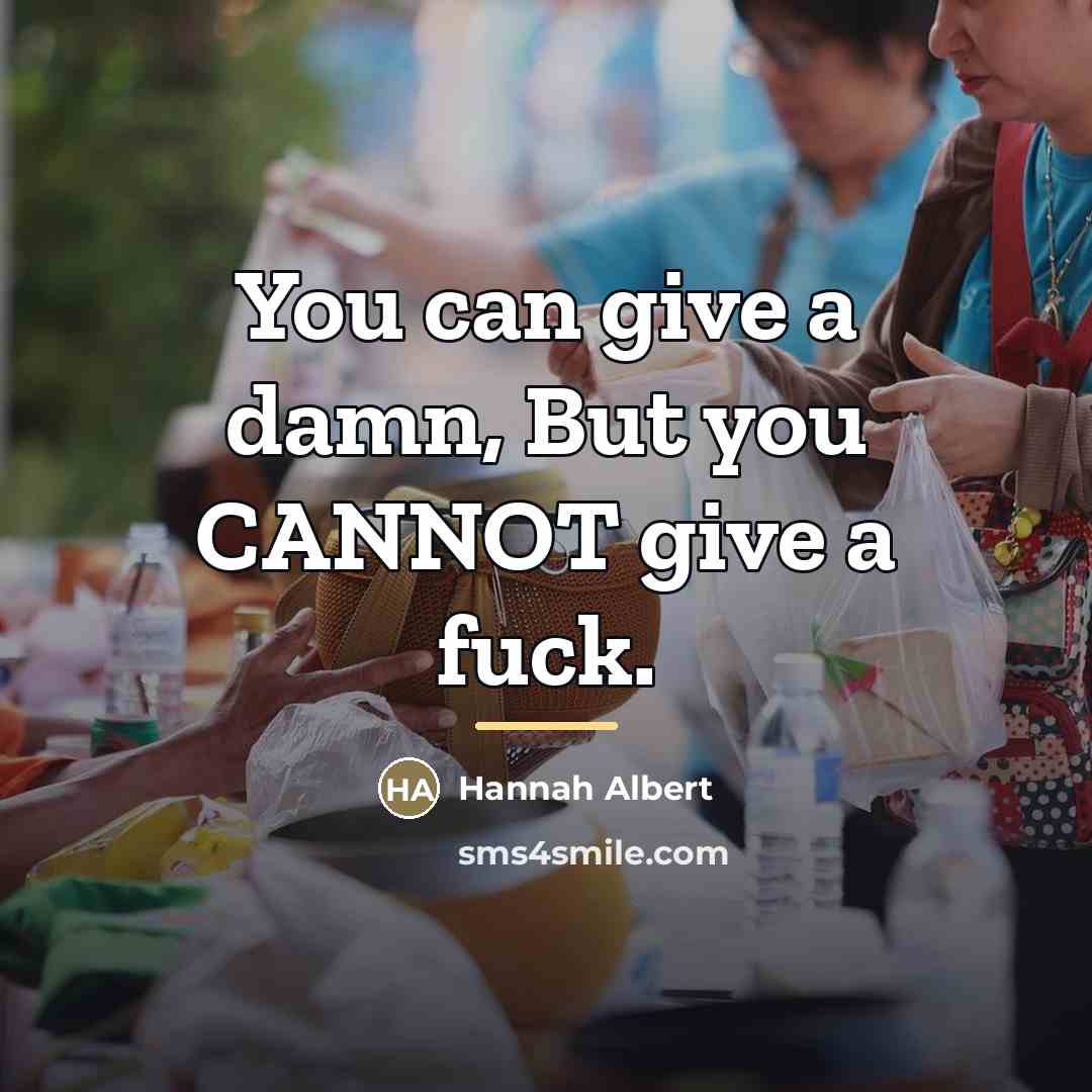 “You can give a damn, But you CANNOT give a…” quote by Hannah Albert