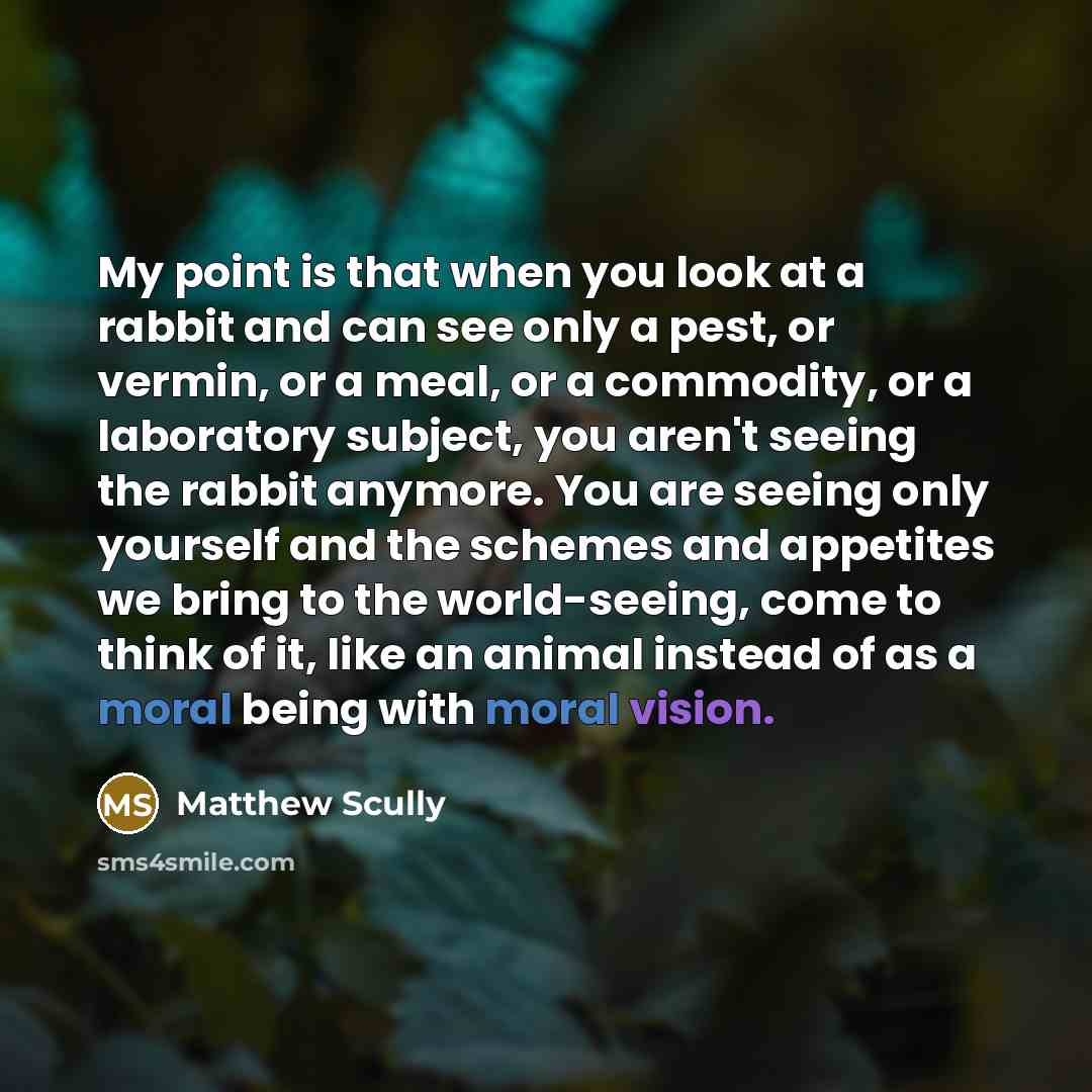 “My point is that when you look at a rabbit…” quote by Matthew Scully