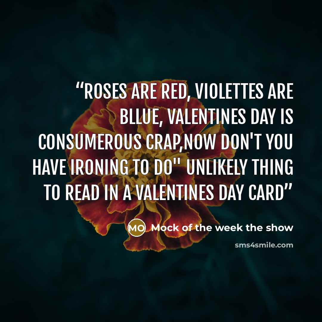 “Roses are red, Violettes are bllue, Valentines day is consumerous crap,now don't you have ironing to do" Unlikely thing to read in a valentines day card” quote by Mock of the week the show