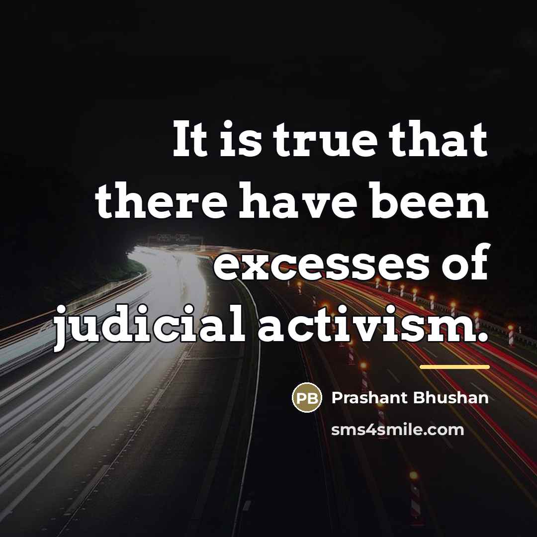 “It is true that there have been excesses of judicial…” quote by Prashant Bhushan