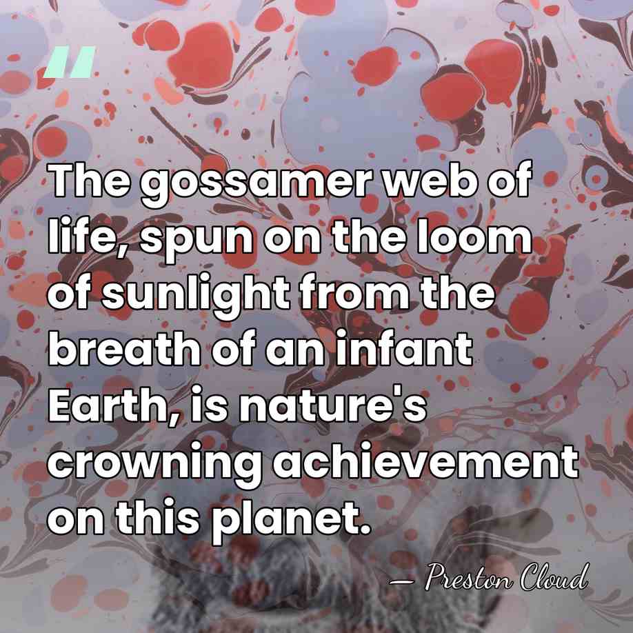 The gossamer web of life, spun on the loom of sunlight from&hellip; - Preston Cloud