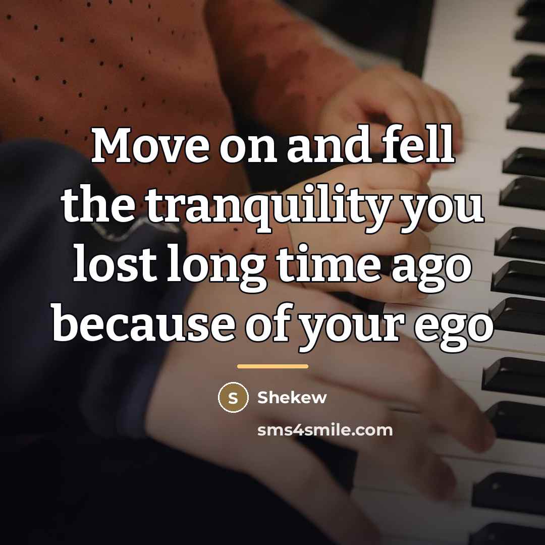 “Move on and fell the tranquility you lost long time…” quote by Shekew