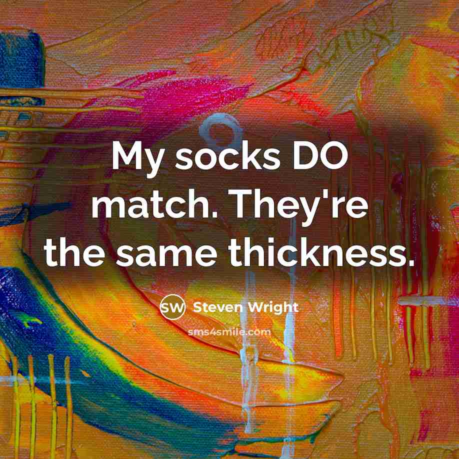 “My socks DO match. They're the same thickness.” quote by Steven Wright