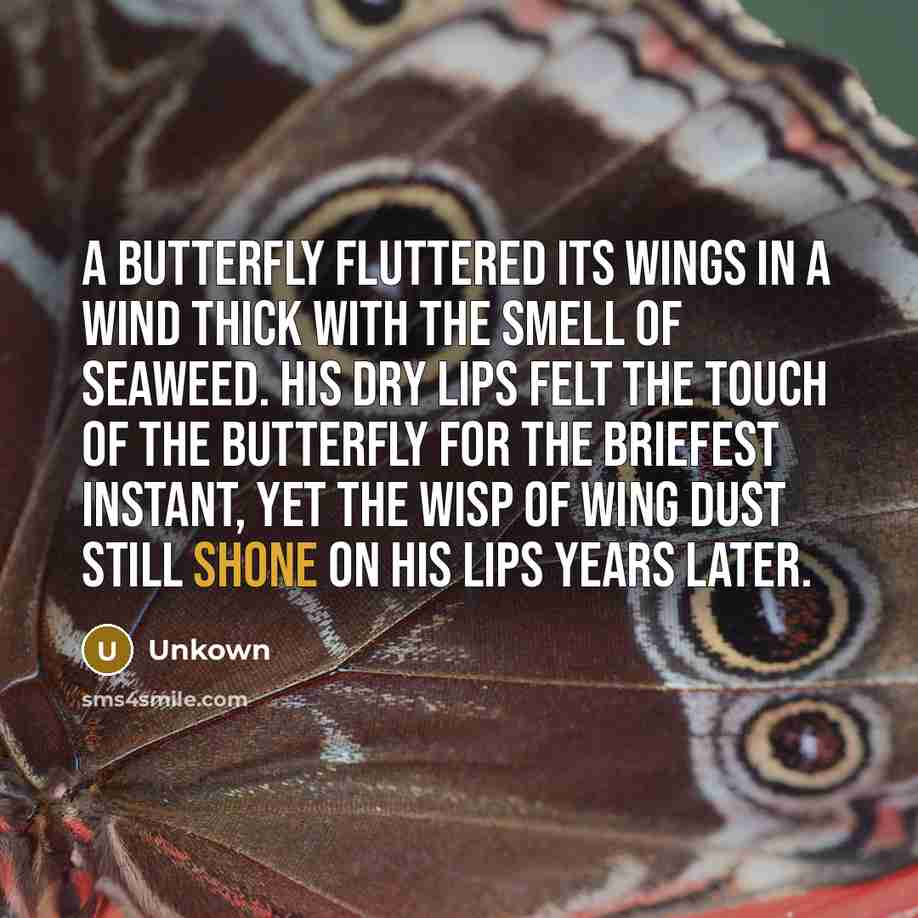 “A butterfly fluttered its wings in a wind thick with the smell of seaweed. His dry lips felt the touch of the butterfly for the briefest instant, yet the wisp of wing dust still shone on his lips years later.” quote by Unkown