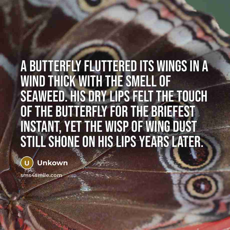 “A butterfly fluttered its wings in a wind thick with…” quote by Unkown