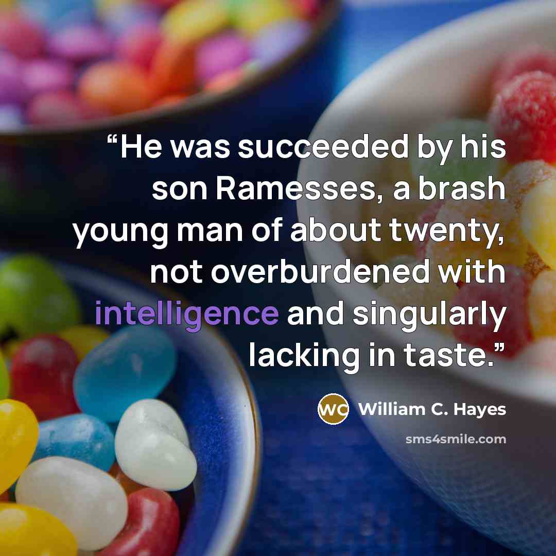 “He was succeeded by his son Ramesses, a brash young man of about twenty, not overburdened with intelligence and singularly lacking in taste.” quote by William C. Hayes