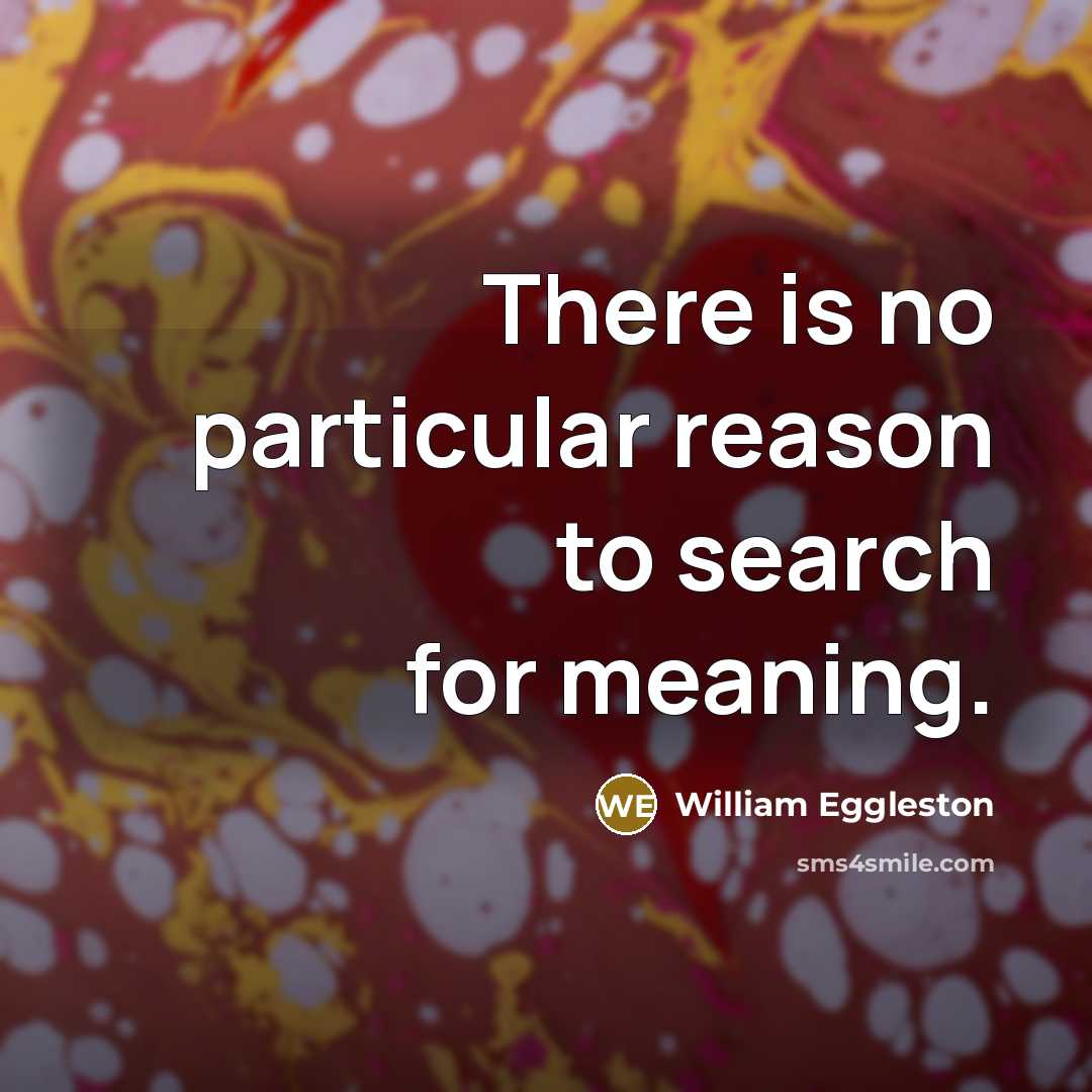 “There is no particular reason to search for meaning.…” quote by William Eggleston