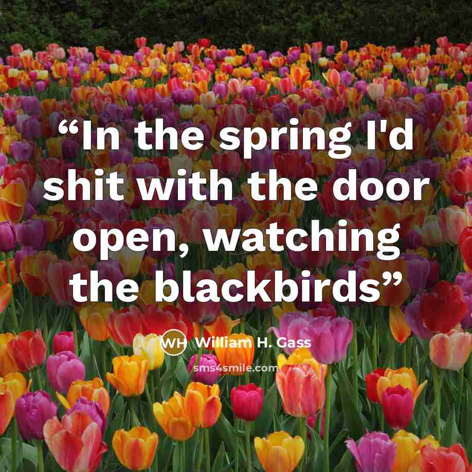 “In the spring I'd shit with the door open, watching the blackbirds” quote by William H. Gass