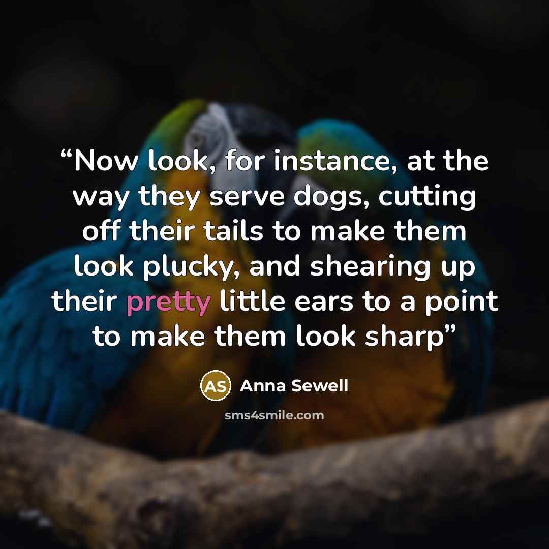 “Now look, for instance, at the way they serve dogs, cutting off their tails to make them look plucky, and shearing up their pretty little ears to a point to make them look sharp” quote by Anna Sewell