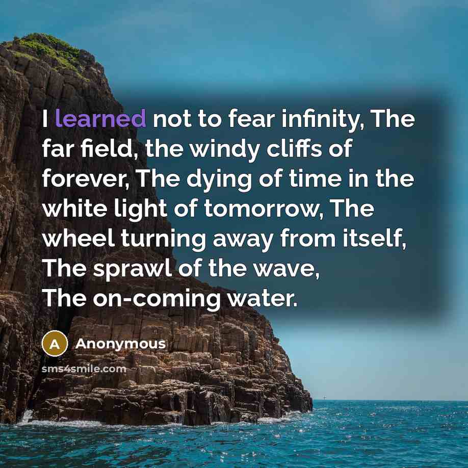 “I learned not to fear infinity, The far field, the…” quote by Anonymous