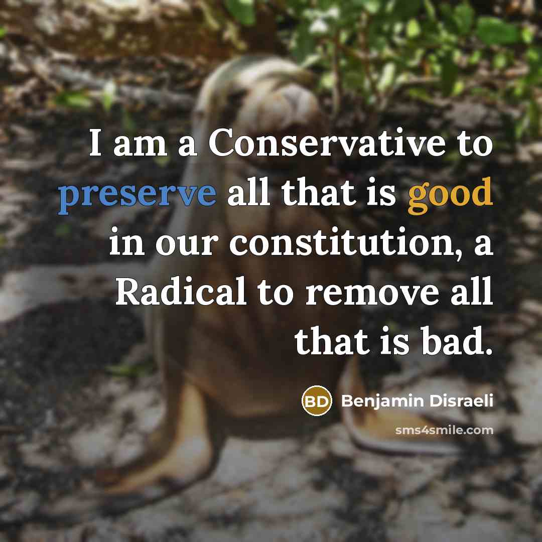 “I am a Conservative to preserve all that is good…” quote by Benjamin Disraeli