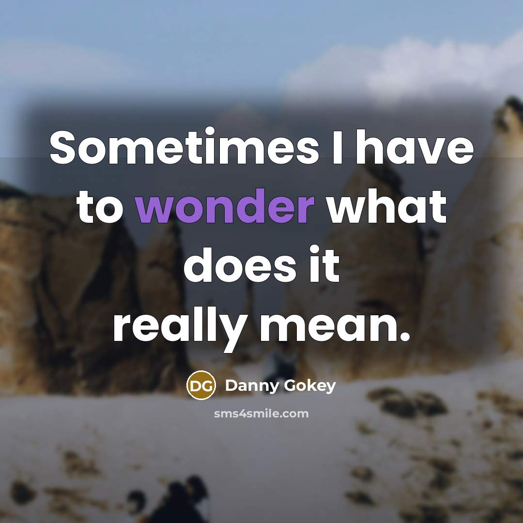 “Sometimes I have to wonder what does it really mean.…” quote by Danny Gokey