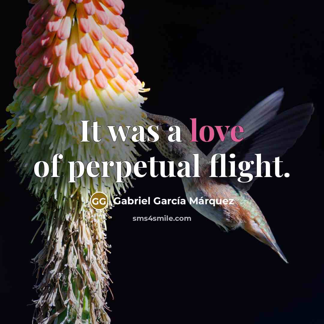 “It was a love of perpetual flight.…” quote by Gabriel Garcia Marquez