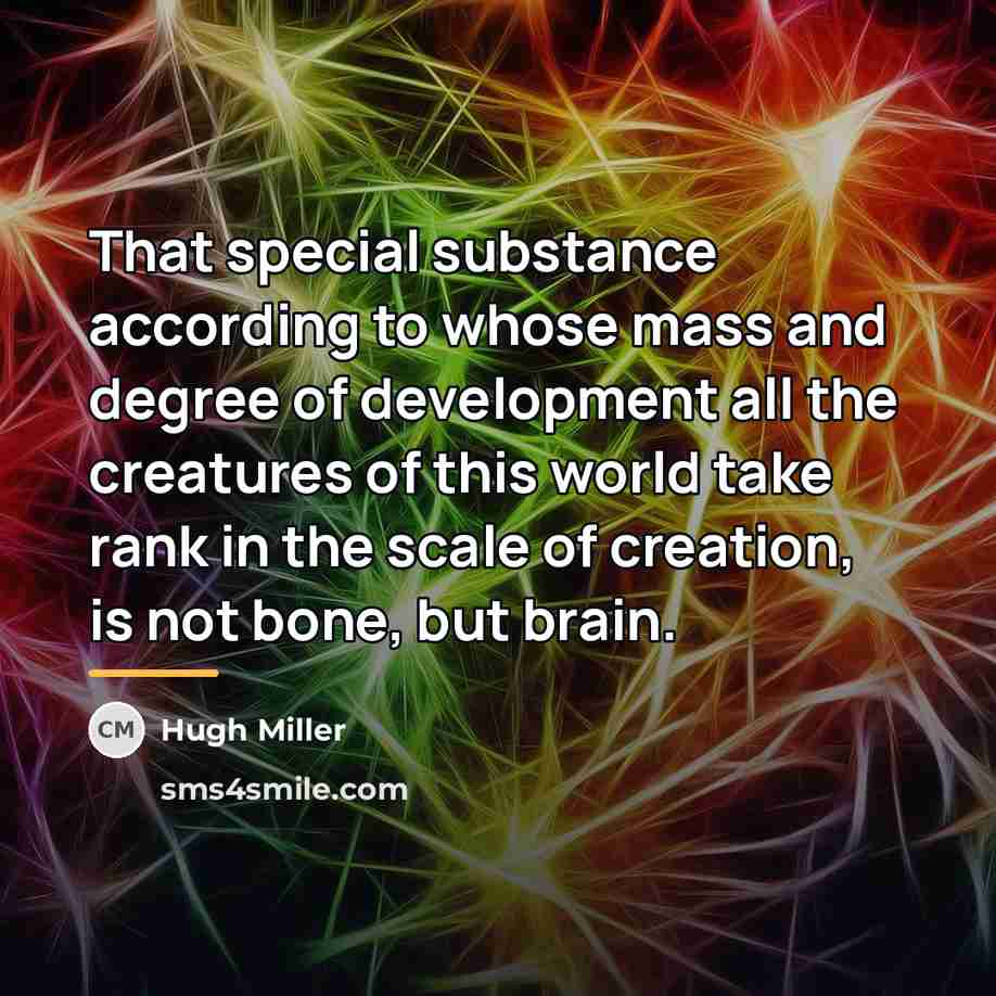 “That special substance according to whose mass and degree of…” quote by Hugh Miller