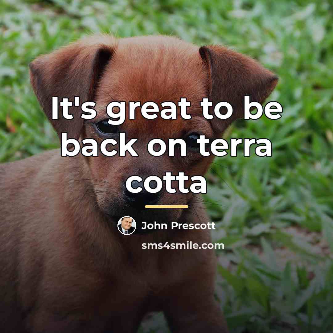 “It's great to be back on terra cotta…” quote by John Prescott