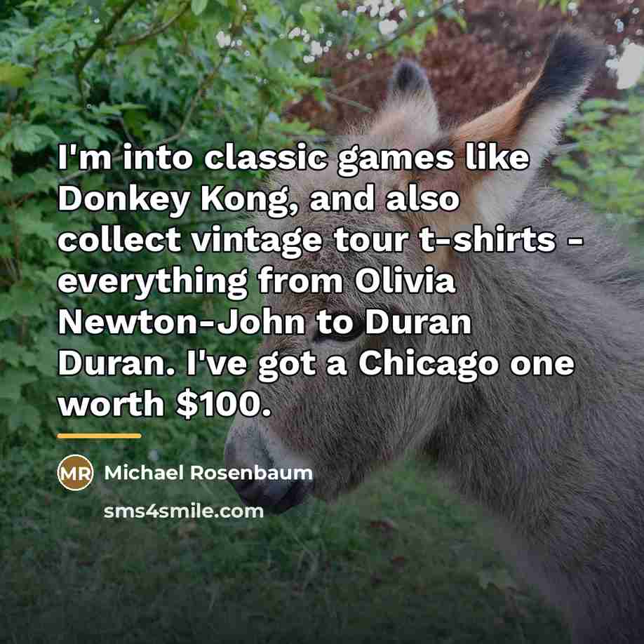 “I'm into classic games like Donkey Kong, and also collect…” quote by Michael Rosenbaum