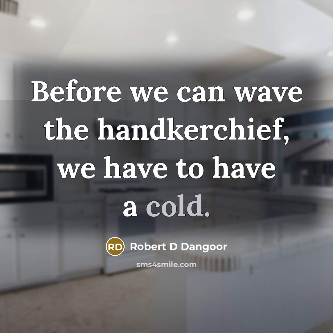“Before we can wave the handkerchief, we have to have…” quote by Robert D Dangoor